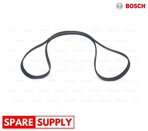 Ribbed belts for nissan - for,