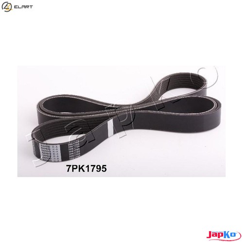 Vribbed belt 7pk1795 - belt,