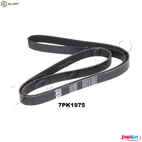 Vribbed belt 7pk1975 for - vribbed,