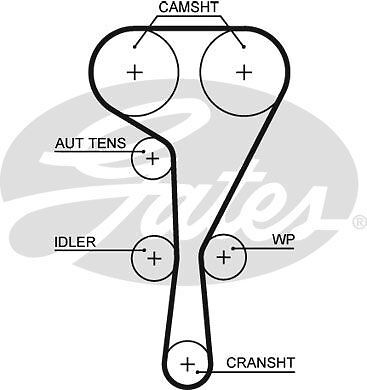 Genuine gates powergrip - gates, timing