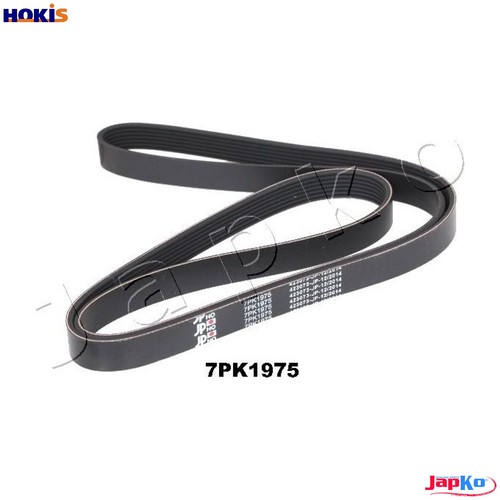 Vribbed belt 7pk1975 - vribbed, for