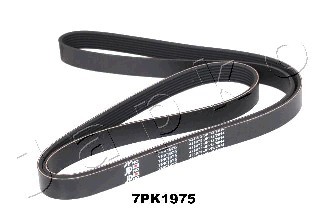 New ribbed belt for nissan - v-ribbed,