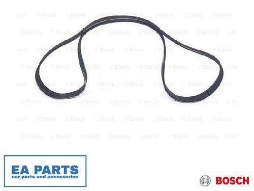 Ribbed belts for nissan - v-ribbed,